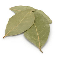 Bay Laurel Leaf 1/2 Oz (Laurus nobilis)